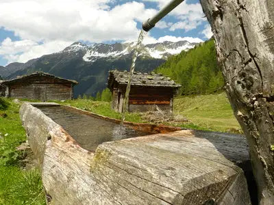 Witterter Holztrog mit moosiger Textur und rustikalen, handgeschnitzten Details.